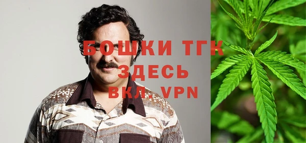 прущие грибы Балахна