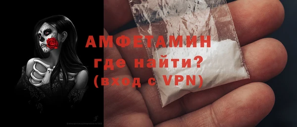 прущие грибы Балахна