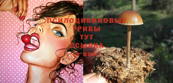 прущие грибы Балахна