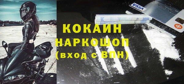 прущие грибы Балахна