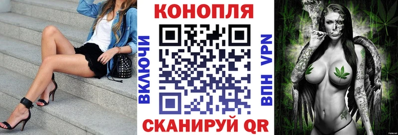 МАРИХУАНА план  Шагонар 