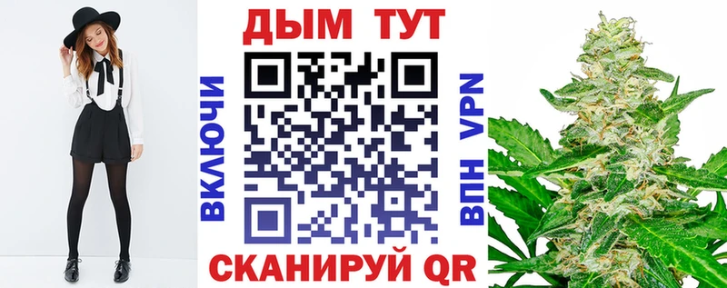 Марихуана план Шагонар